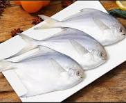 Frozen Pomfret